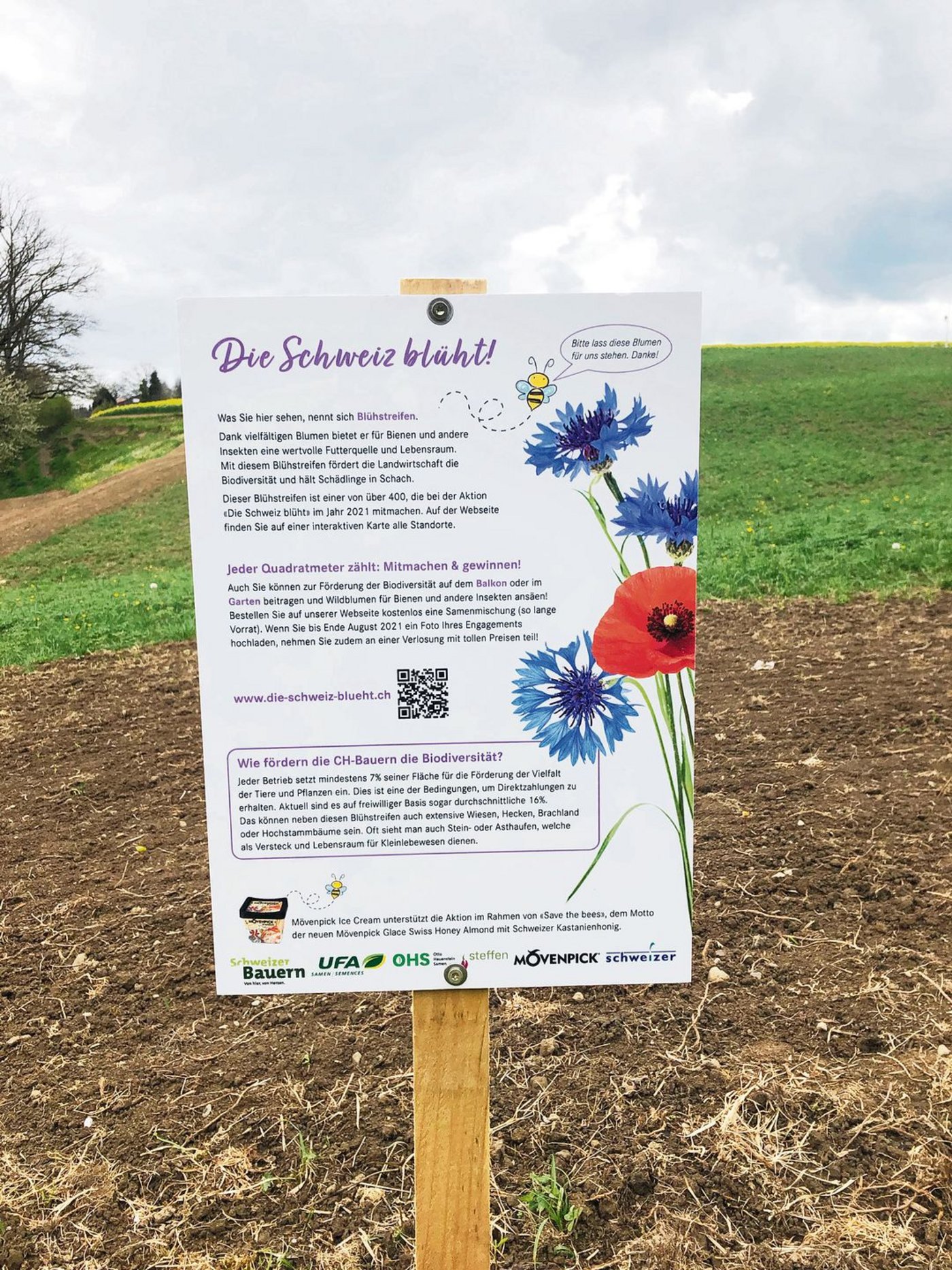 Schilder – hier in Wünnewil FR – machen auf das Projekt «Die Schweiz blüht» aufmerksam. (Bilder sjh)