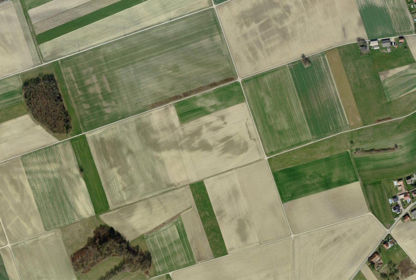 Auf grösseren und näher zum Hof gelegenen Parzellen können dagegen Kostentreiber wie Strassenfahrt, Rüstzeit oder Wendezeit massiv reduziert werden.