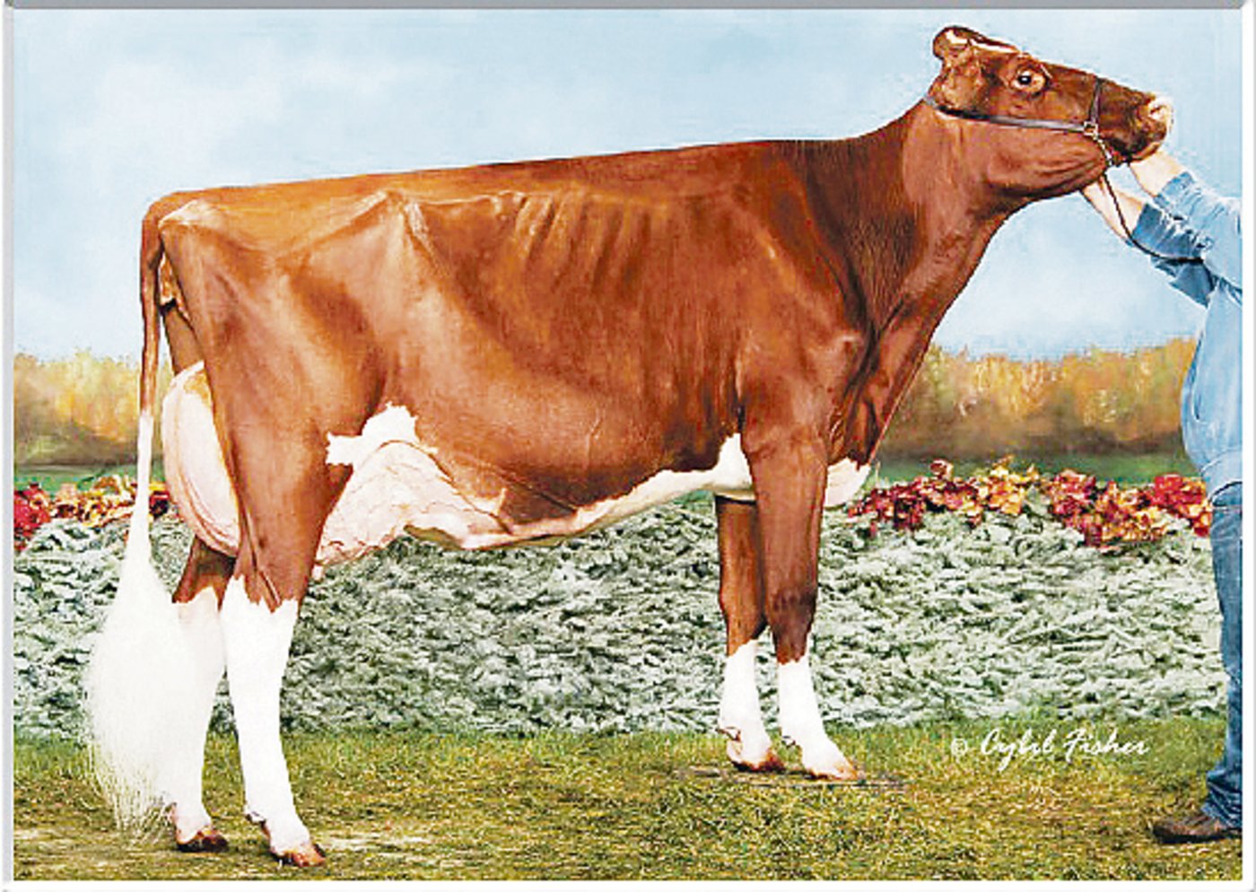 KHW Regiment Apple C ist ein Klon des Originals, der legendären Apple EX-96, wie auch die Mutter von Stier Avalanche. (Bild cf)