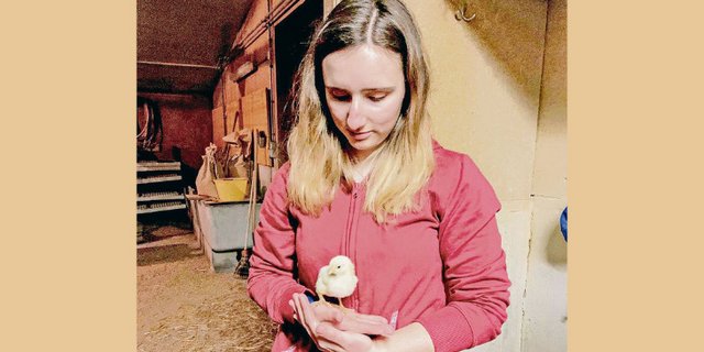 Alicia Pellet macht die Lehre als Landwirtin in Daillens (Kanton Waadt). In ihrer Erstausbildung merkte sie, dass das Büro nichts für sie ist. (Bild Alicia Pellet)