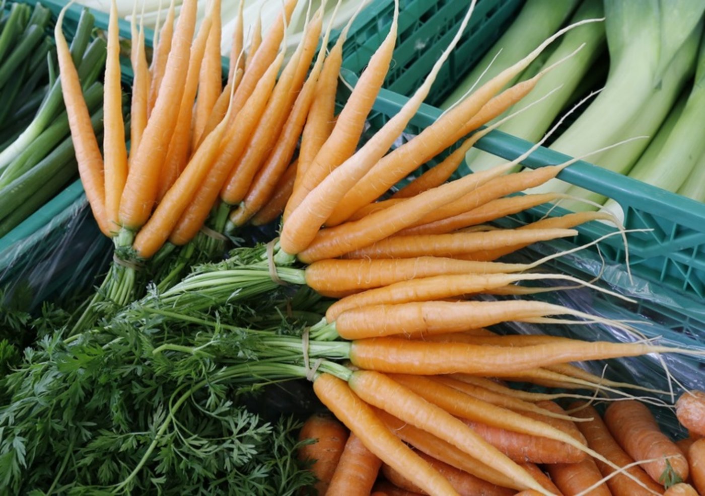 Fast 10 Kilo Rüebli gingen vergangenes Jahr durch jedes Schweizers Gaumen. (Bild lid)