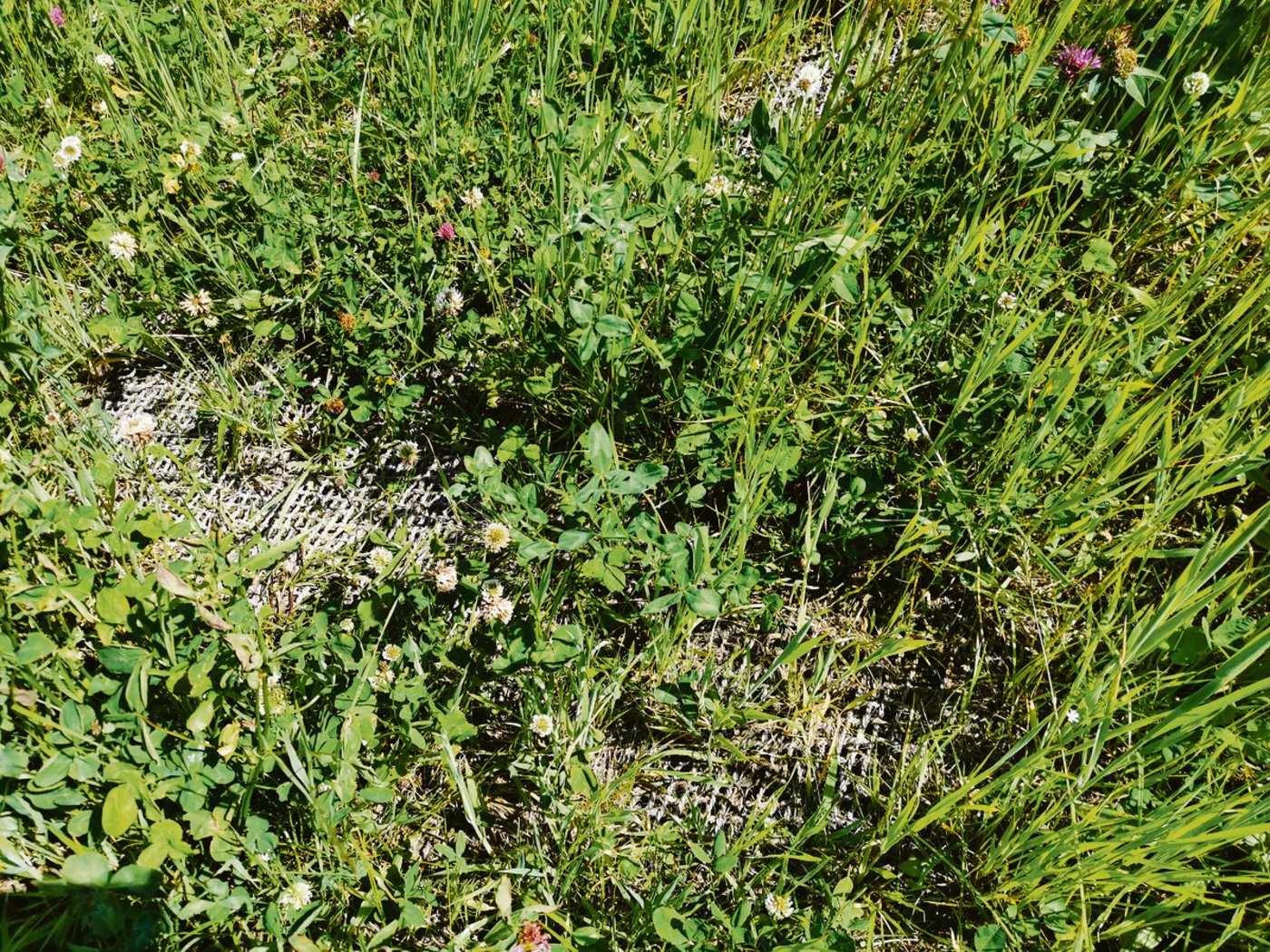 «Ungenügende Aufhumusierung», ist Ulrich Lisser der Meinung. Er will sein Land anders zurück, als so. 