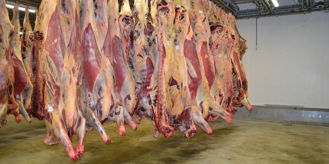 Proviande verlängert die Importperiode für die am 27. Juli freigegebenen 800 t Rindfleisch bis Ende September (Bild BauZ)