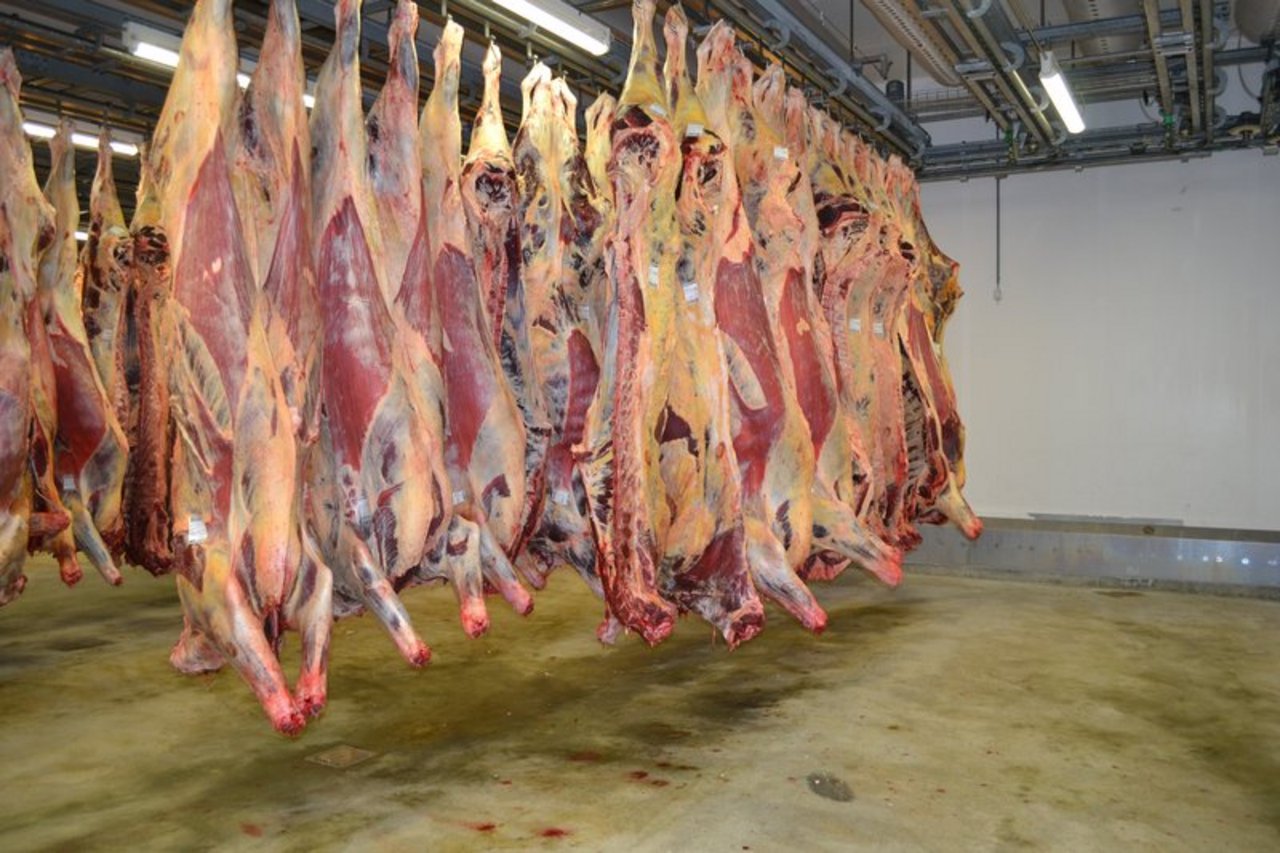 Proviande verlängert die Importperiode für die am 27. Juli freigegebenen 800 t Rindfleisch bis Ende September (Bild BauZ)