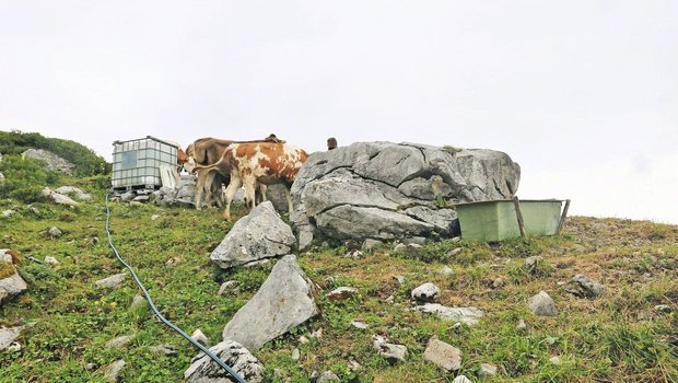 Die Wasserversorgung auf den Alpen ist durch die Trockenheit anspruchsvoll geworden.