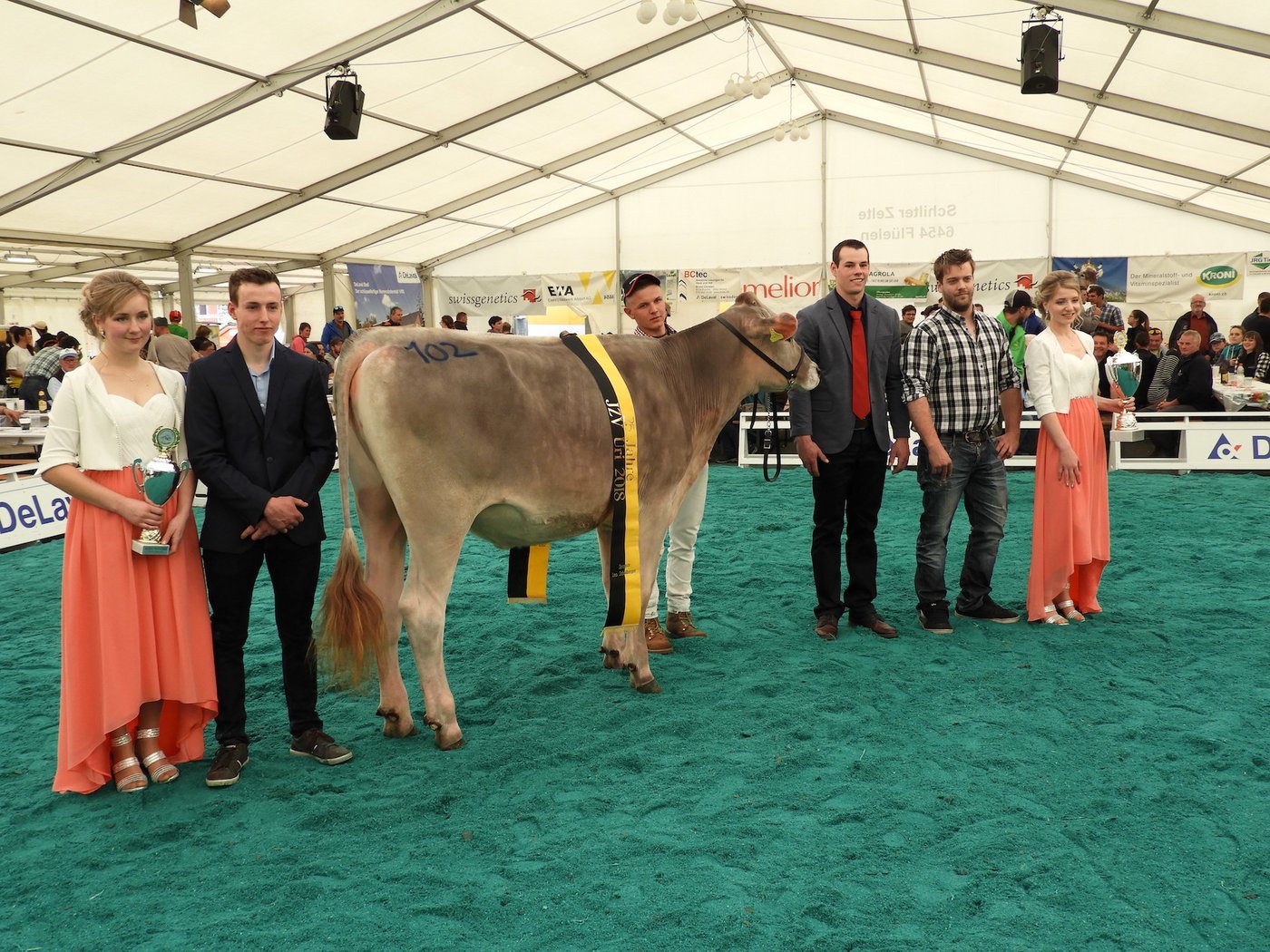 Urner Champion und Grand Champion Blooming Malinka von G-Wal Mountain Cows.