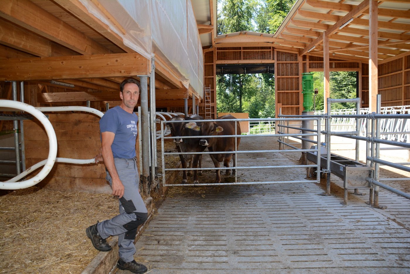 Sepp Ineichen aus Altwis LU im neuen Stall für die Mutterkühe. Für dessen Bau war der finanzielle Beitrag der AKS-Stiftung ein willkommener Zustupf. (Bild Josef Scherer)