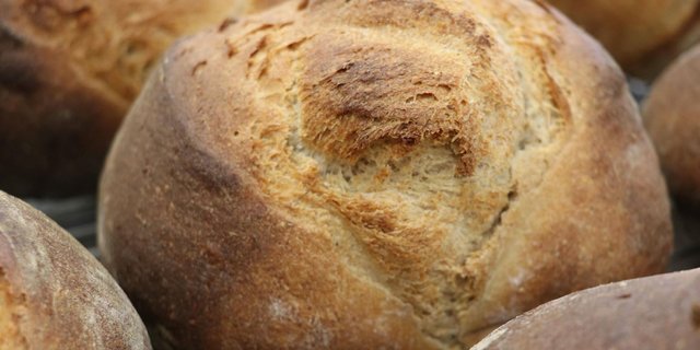 Ein perfektes Holzofenbrot: Dank Notizen lässt sich ein gelungenes Resultat wiederholen.