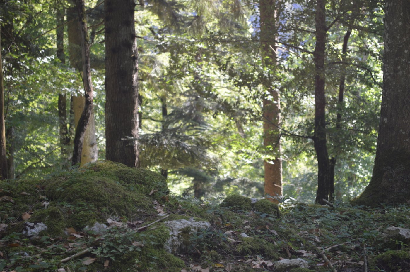 Der Hof ist abgelegen und die Umgebung ist wild. 