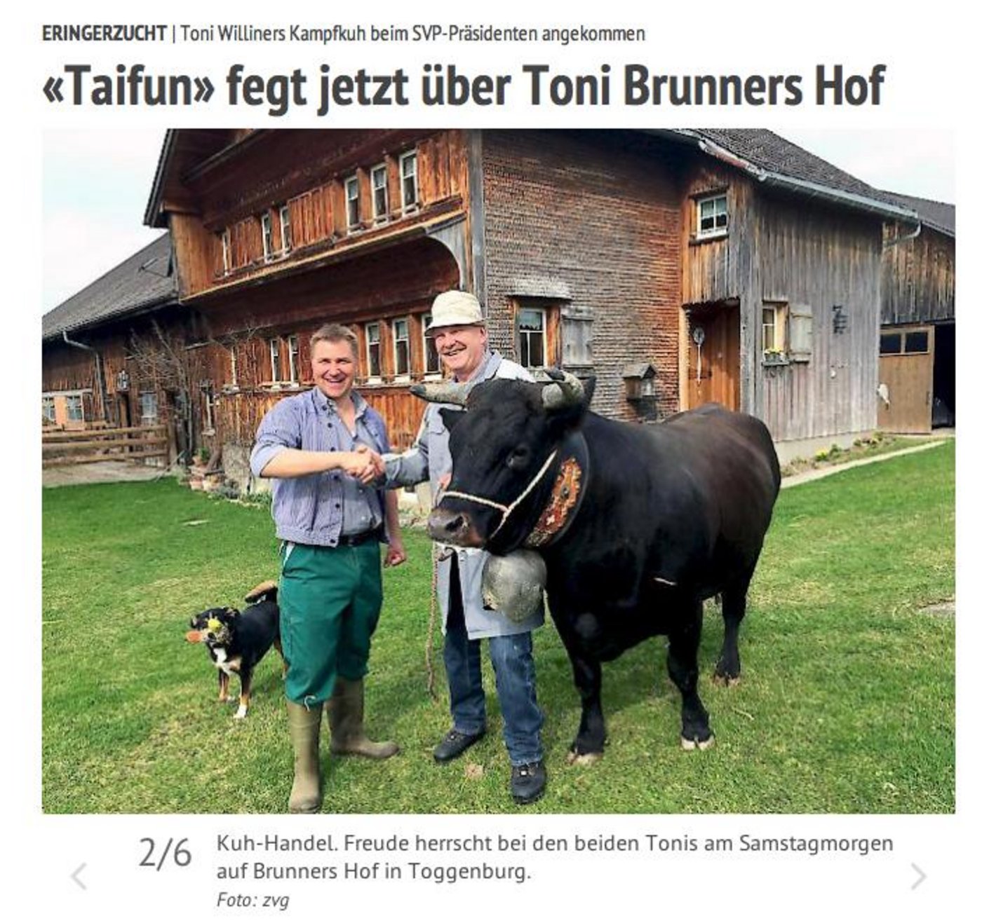 So berichtet das Walliser Newsportal über Toni Brunners Spontankauf. (Bild Screenshot 1815.ch)