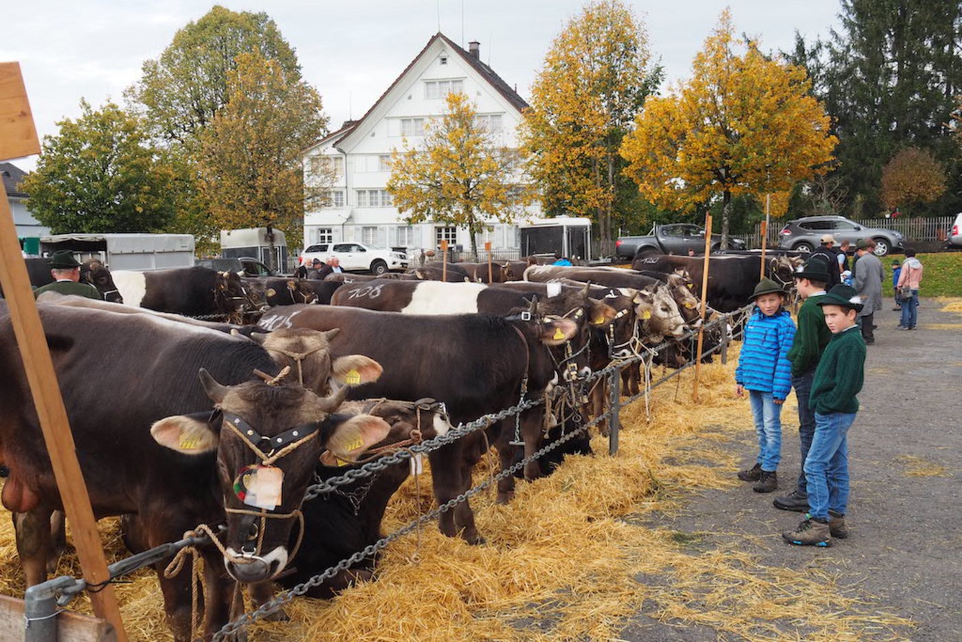 Auch der Nachwuchs interessiert sich für die aufgeführten Tiere.