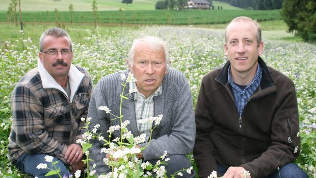 Hinten links die junge Nussbaum-Plantage, in der Mitte die Bienenweide, vorne drei Brückenbauer, von links: Nussbaum-Bauer Armin Lang, Imker Alois Leisbach und Simon Gisler von der Hochstamm Seetal AG. (Bild: zVg)