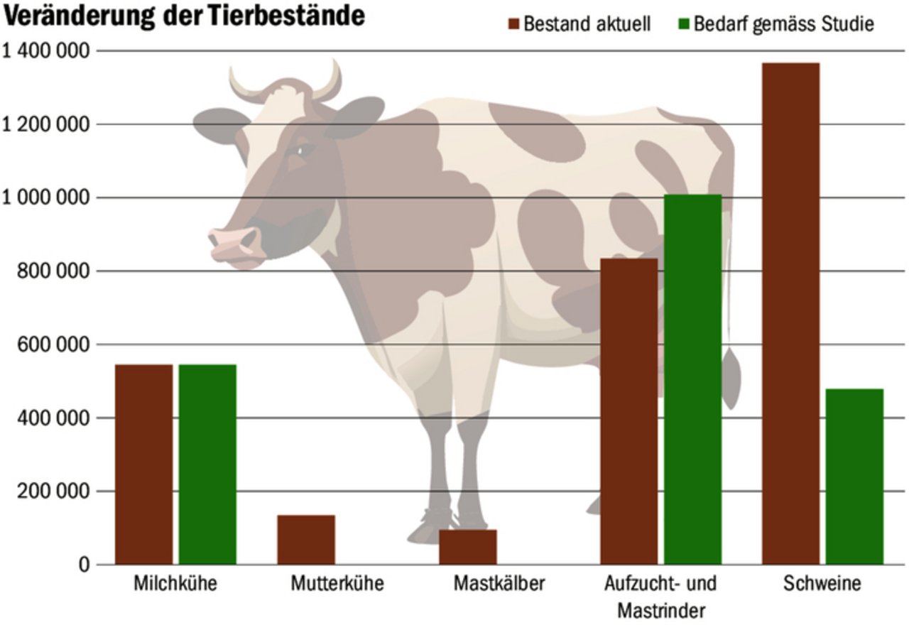 Während sich der Milchviehbestand laut Studie nicht verändern würde, verschwänden Mutterkühe und Mastkälber vollständig.