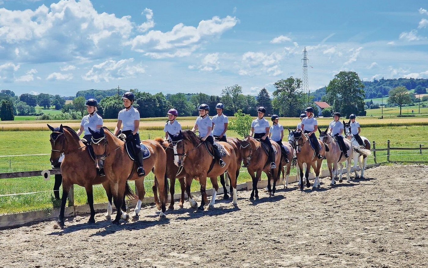 Eins von mehreren Schaubildern am vergangenen Samstag in Jeuss. Vorne links läuft Condors Mutter Vanda. Neben ihr ein Vollbruder des Zuchthengsts.  