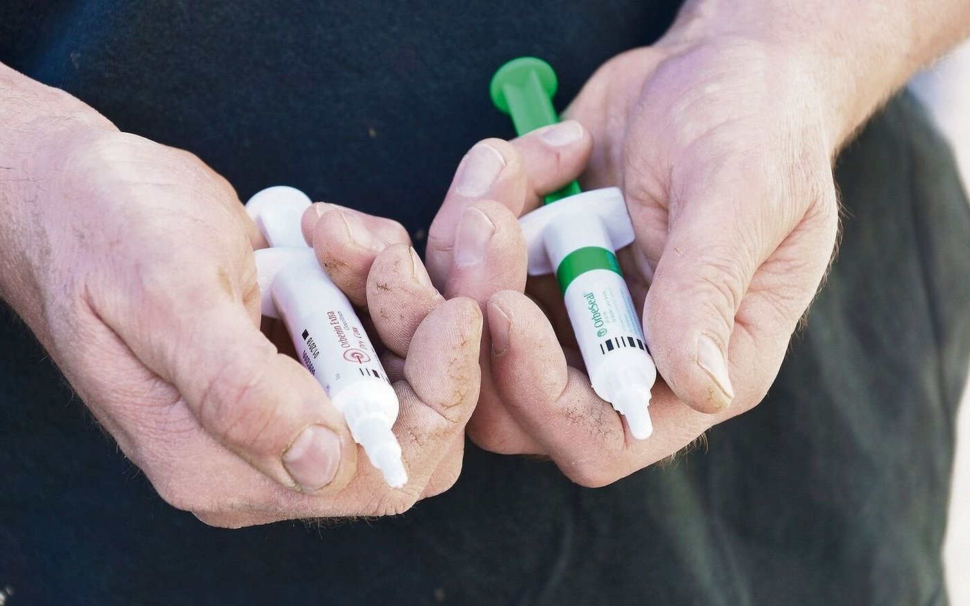 Die Methode «unvollständiges Melken» führt zu Milchrückgang und kann so den Gebrauch von Trockenstellern erübrigen.