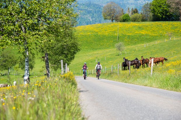 Ausflugtipp: Kulinarische Kräuterwelt des Entlebuch mit dem E-Bike entdecken Auf eine Schatzsuche mit dem E-Bike lädt die Biosphäre Entlebuch mit einem neuen Projekt ein. (Bild zVg)