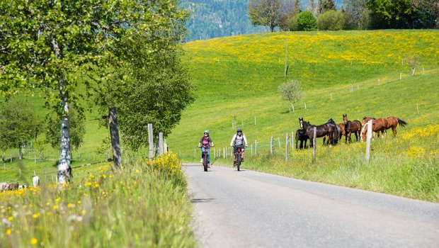 Auf eine Schatzsuche mit dem E-Bike lädt die Biosphäre Entlebuch mit einem neuen Projekt ein. (Bild zVg)