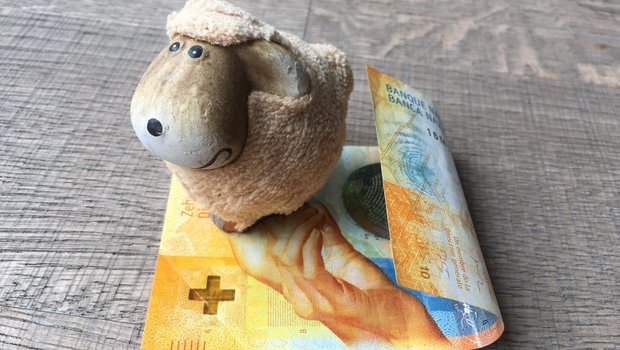 2021 wird es auch mehr finanzielle Unterstützung für die Sömmerung, bzw. den Herdenschutz geben. (Symbolbild jsc)