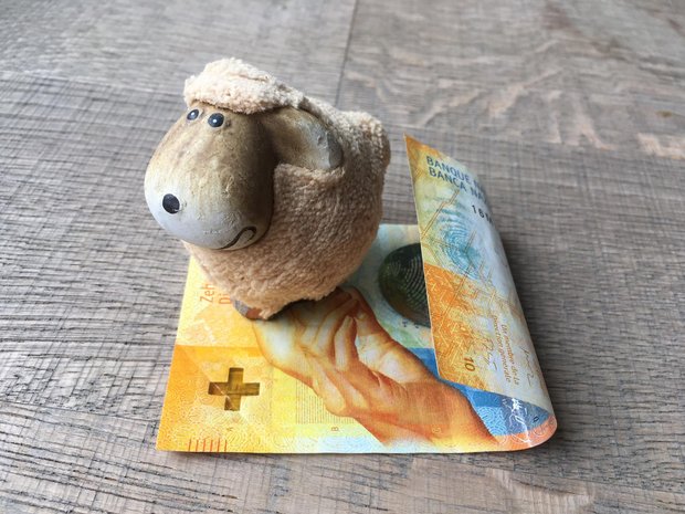 16,8 Millionen Franken mehr Direktzahlungen und 4 Millionen für Agroscope 2021 wird es auch mehr finanzielle Unterstützung für die Sömmerung, bzw. den Herdenschutz geben. (Symbolbild jsc)