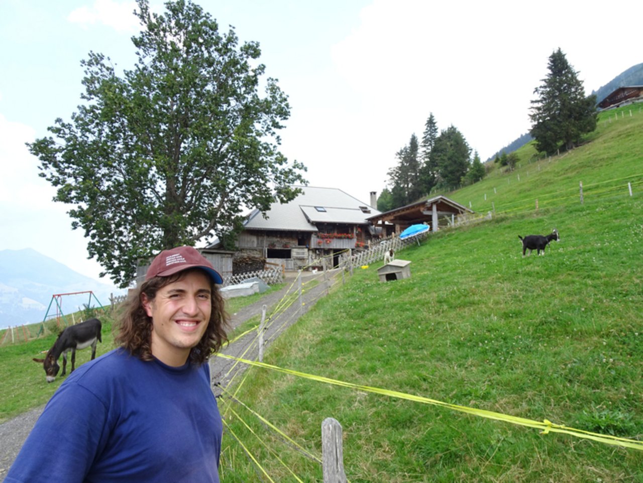 Für den Auslandschweizer und Studenten aus Köln bedeutete die Ankunft auf der Alp im Berner Oberland ein Eintauchen in eine völlig fremde Welt. (Bilder ml) 