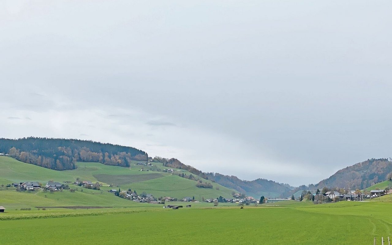 Zwischen den geschwungenen Hügeln von Walkringen sind Röthlisbergers zu Hause. Ihr Betrieb gilt als Kleinheim.