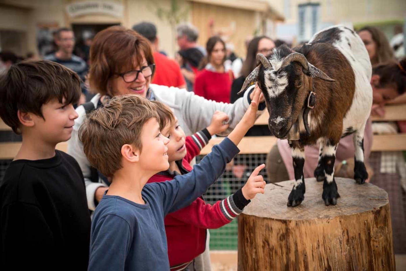 Ob auch in diesem Jahr noch eine Olma in St.Gallen durchgeführt werden kann, ist noch unbekannt. (Bild olma-messen.ch)