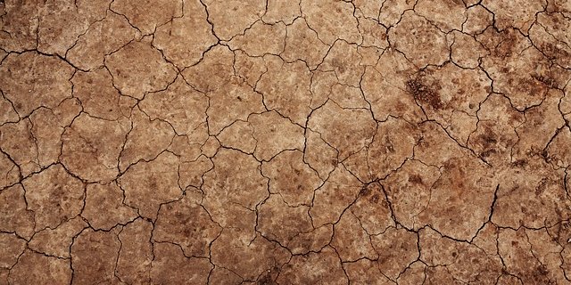 Der Klimawandel führe dazu, dass Konfliktparteien sich zusätzlich um schwindende Ressourcen stritten. (Symbolbild Pixabay)