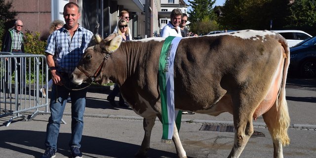 Flurina von Romeo Wildhaber ist die erste Miss Publikum, die an der Wega gewählt wurde.