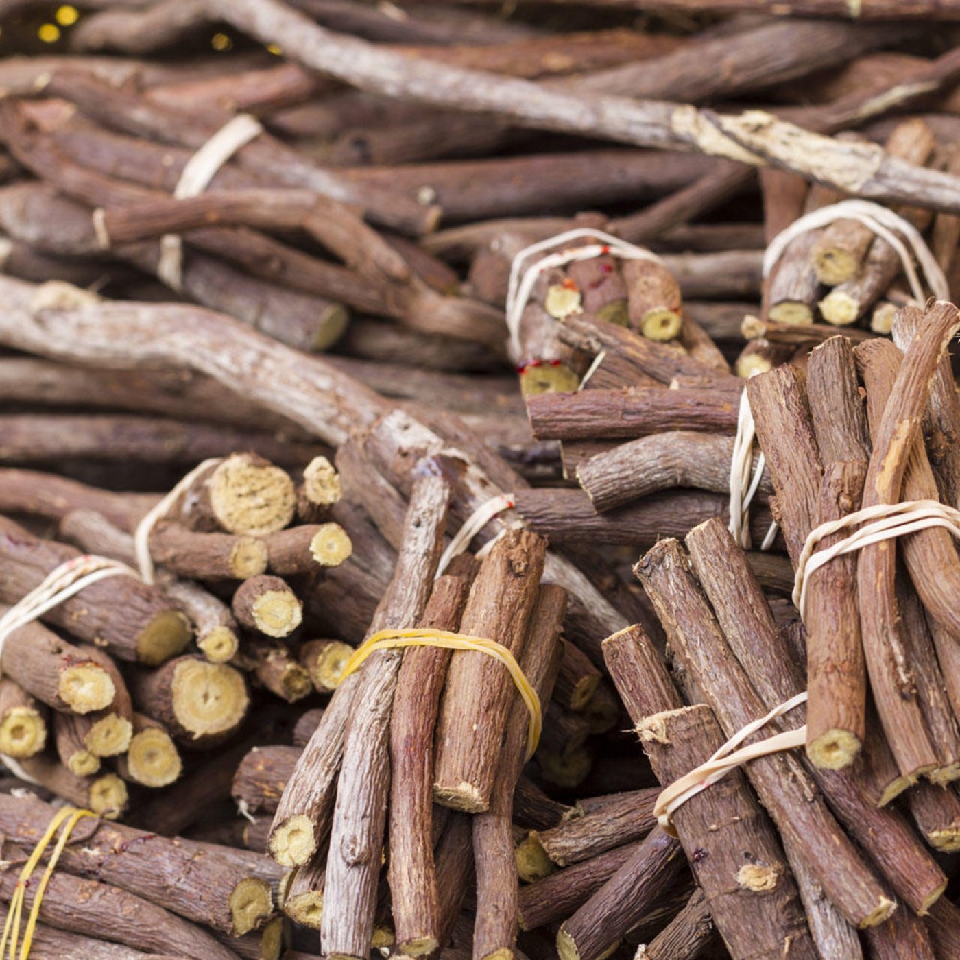 Nebst den zahlreichen positiven Wirkungen des Süssholzes gegen Husten bei Kälbern, Pferden und Menschen ist dem darin enthaltenen Giftstoff Ochratoxin A besondere Achtung zu schenken. (Bild Shutterstock)