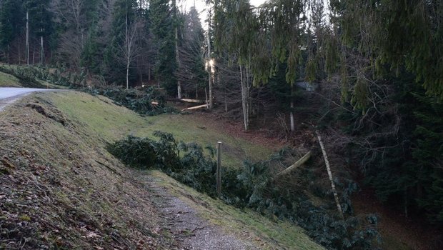 Im Luzernischen Romoos und anderen Teilen der Schweiz kam es im Januar 2018 zu Sturmschäden. Damals wütete der Wintersturm Burglind. (Bild BauZ)