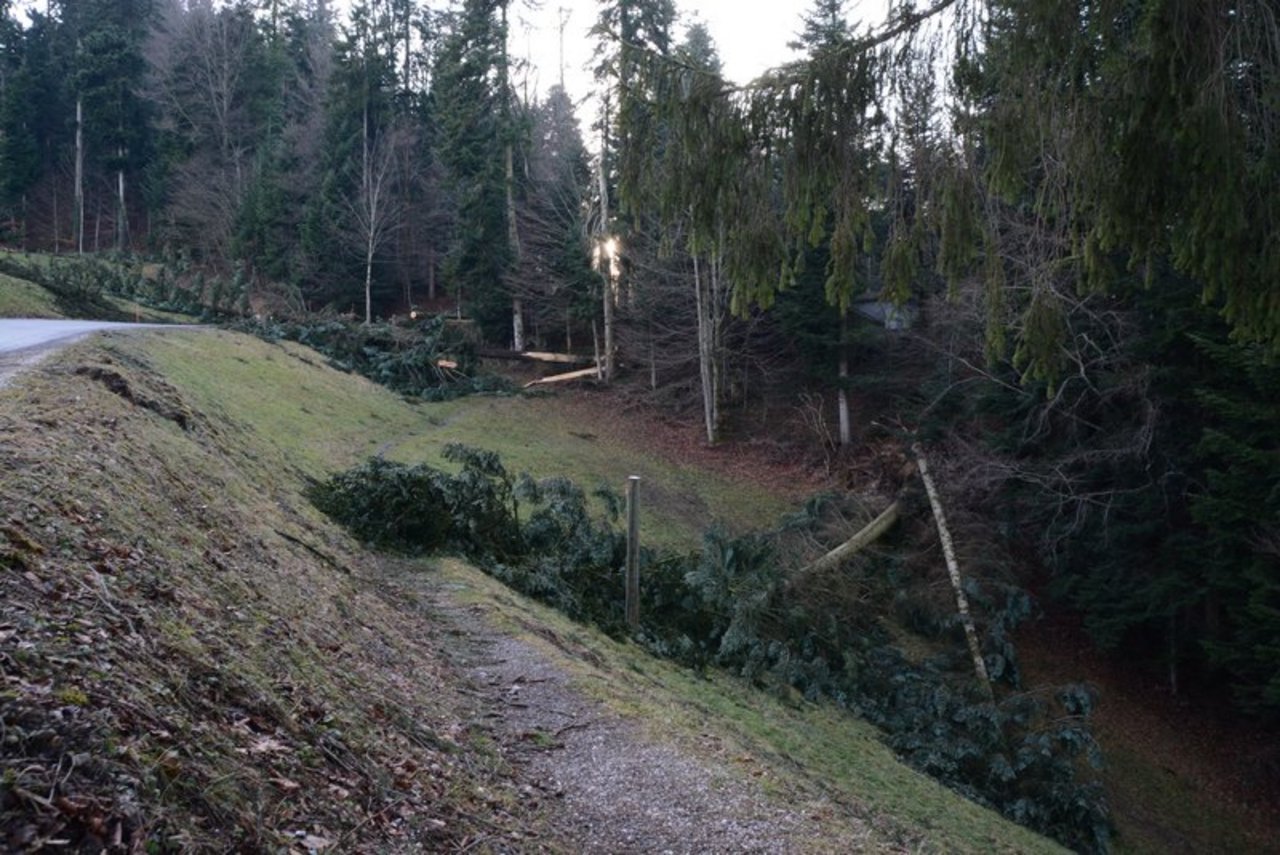 Im Luzernischen Romoos und anderen Teilen der Schweiz kam es im Januar 2018 zu Sturmschäden. Damals wütete der Wintersturm Burglind. (Bild BauZ)