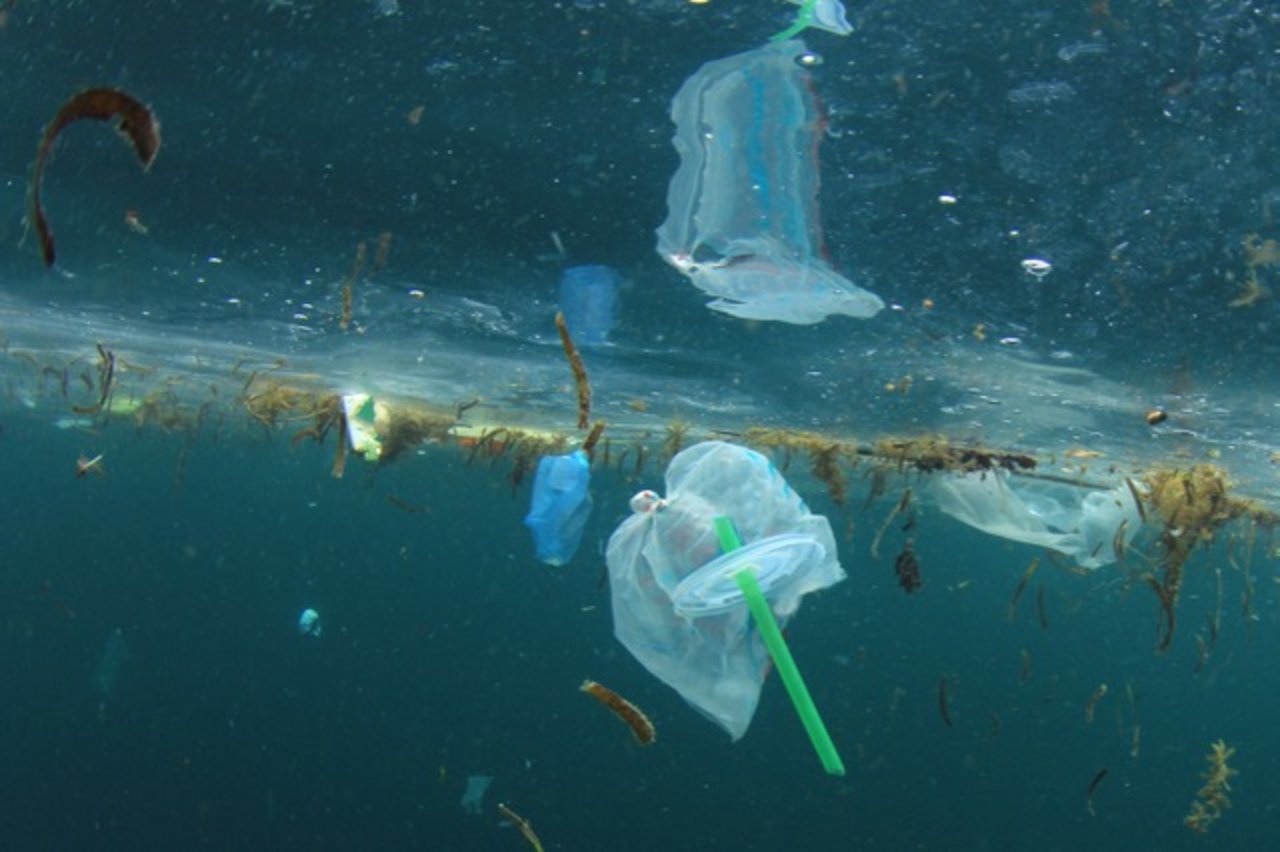 Plastikabfälle in Gewässern sind ein riesiges Problem. (Bild Shutterstock)