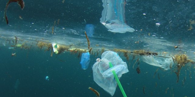 Plastikabfälle in Gewässern sind ein riesiges Problem. (Bild Shutterstock)