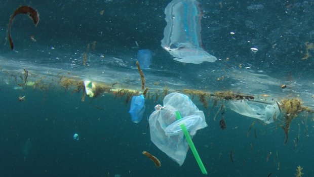 Plastikabfälle in Gewässern sind ein riesiges Problem. (Bild Shutterstock)