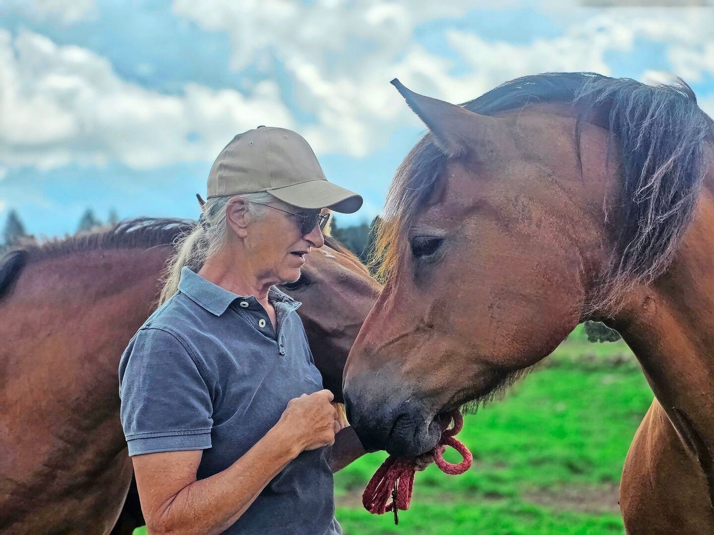 Heidi Gurtner und eine ihrer Urfreiberger-Stuten. Sie haben im Neuenburger Jura ihre Heimat gefunden. Der Erhalt des ursprünglichen Schweizer Kulturguts liegt der Frau am Herzen. 