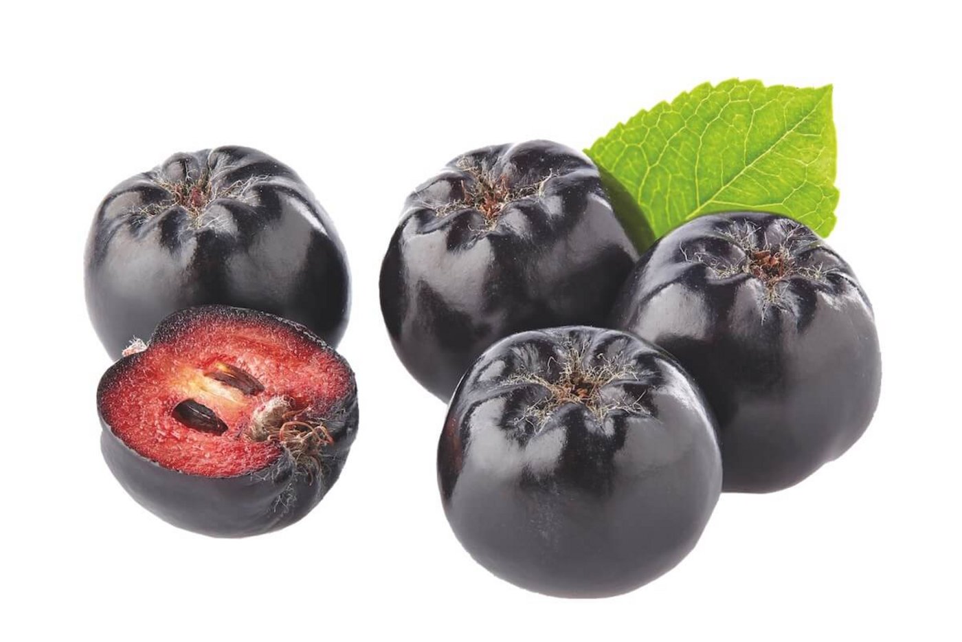 Wildfrucht: Apfelbeere oder Aronia