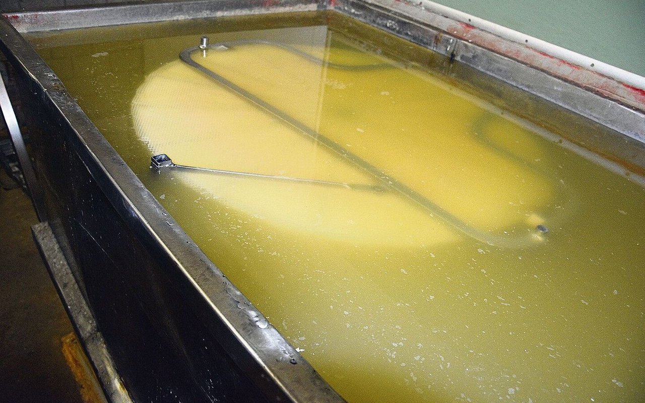 Nach der Fabrikation kommen die frischen Emmentaler-AOP-Laibe für zwei Tage in ein Salzbad.