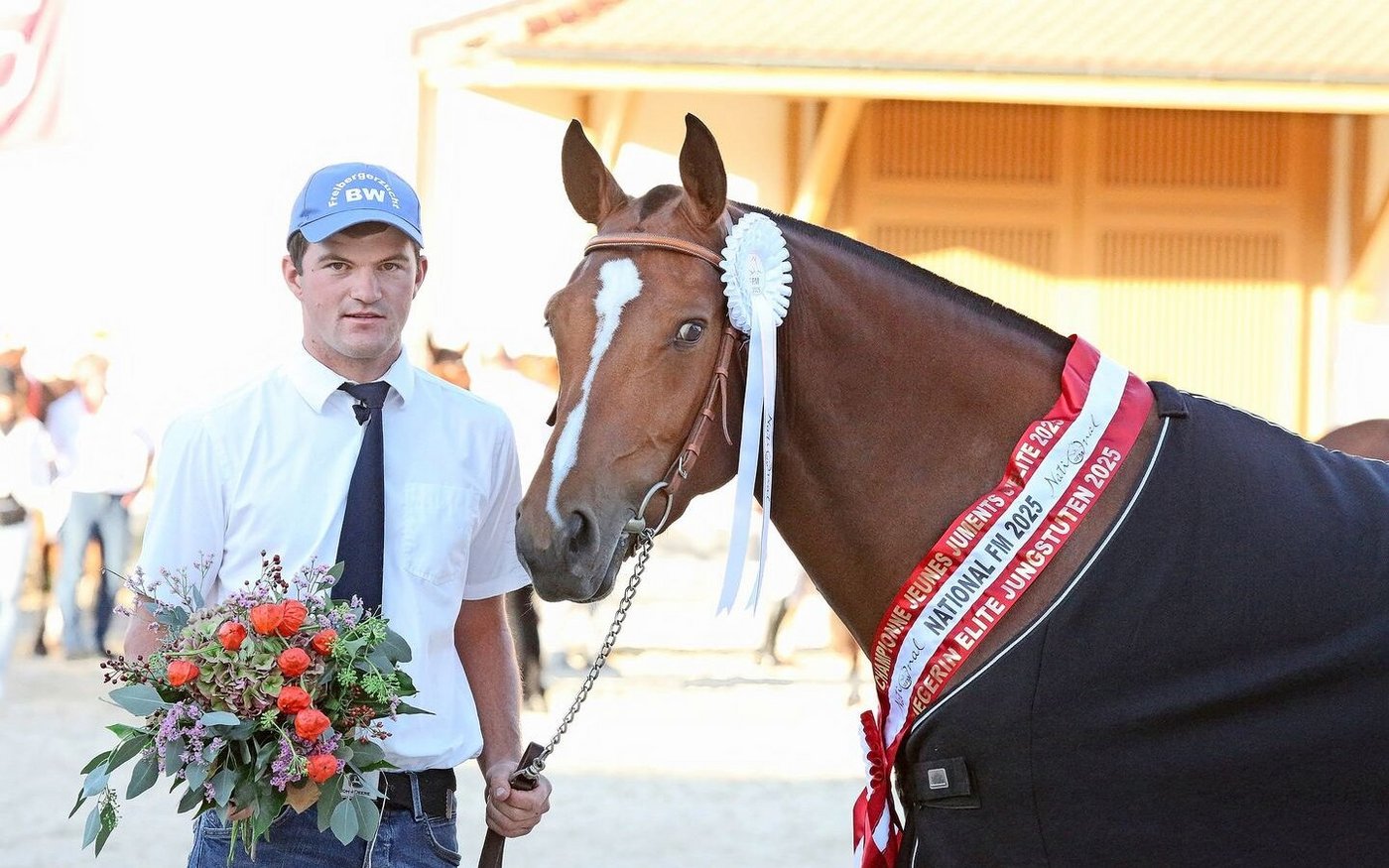Namira BW vom Hengst Loxy de la Vieille aus der Stute Nikita BW (V: Never BW) gewann in Avenches bei den Elitejungstuten.