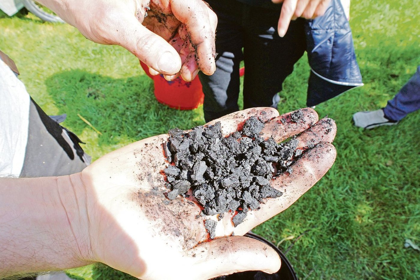 Futterkohle unterscheidet sich inhaltlich und auch optisch deutlich von der besser bekannten Grillkohle.(Bild zVg)