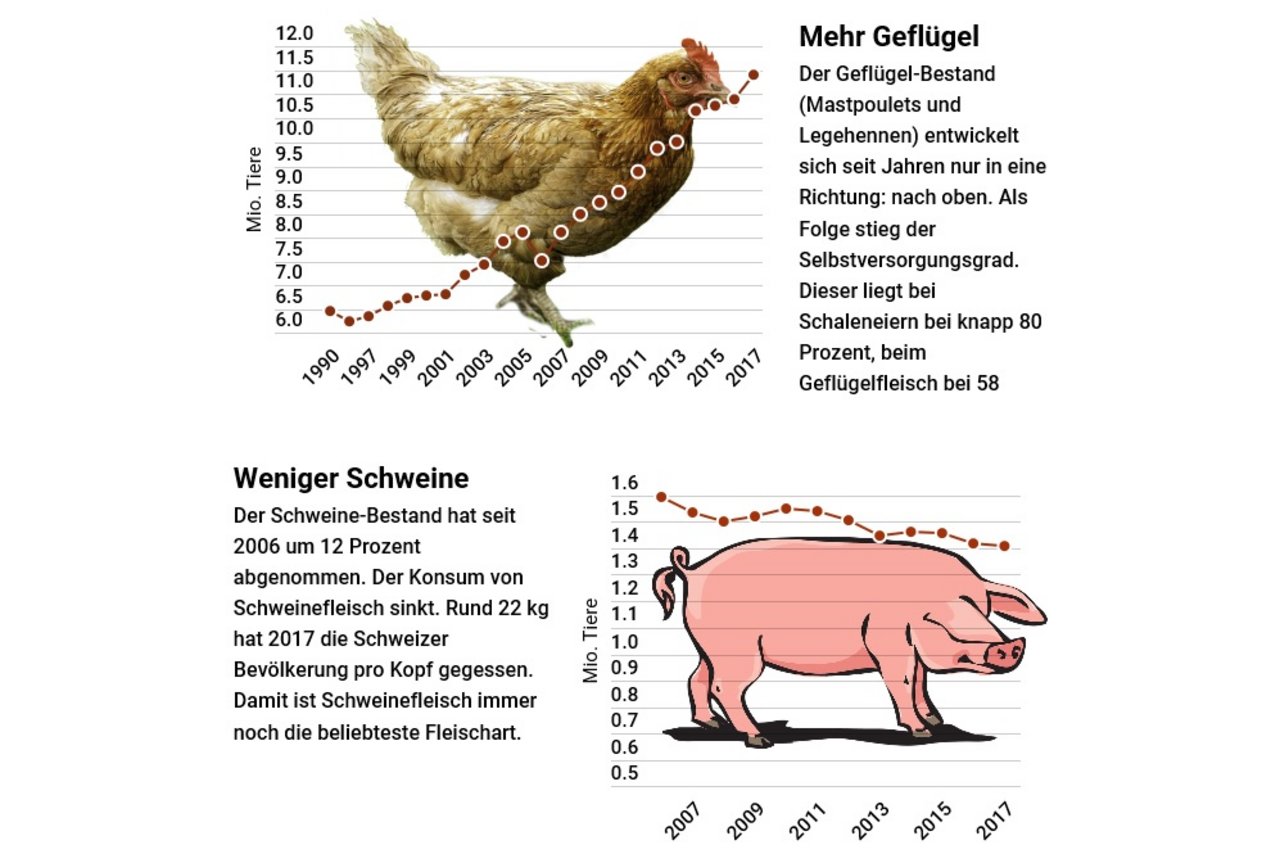 Nur zwei Beispiele für die allgemeine Entwicklung in der Landwirtschaft: Steigende Geflügelbestände, Abbau bei den Schweinen. (Grafiken LID)