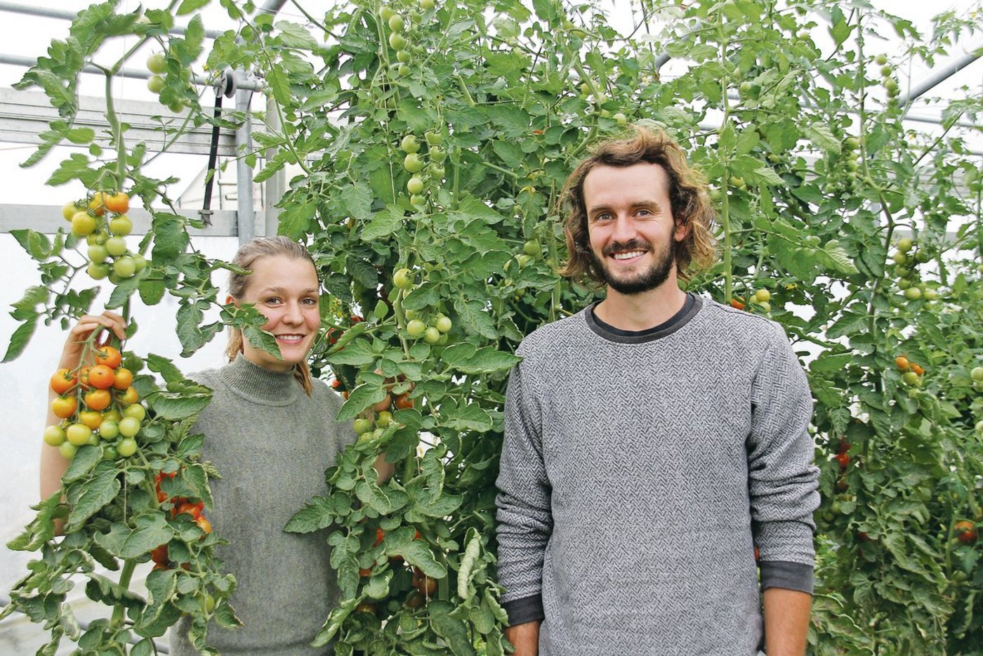 Vera und Samuel Kessens vom Brüederhof in Dällikon vertreiben Bio-Gemüse im Abo. Mit dem Lockdown wurden sie von der Nachfrage nach ihren Gemüseabos überrumpelt.(Bild Hans Rüssli)