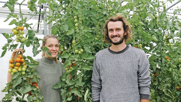 Vera und Samuel Kessens vom Brüederhof in Dällikon vertreiben Bio-Gemüse im Abo. Mit dem Lockdown wurden sie von der Nachfrage nach ihren Gemüseabos überrumpelt.(Bild Hans Rüssli)