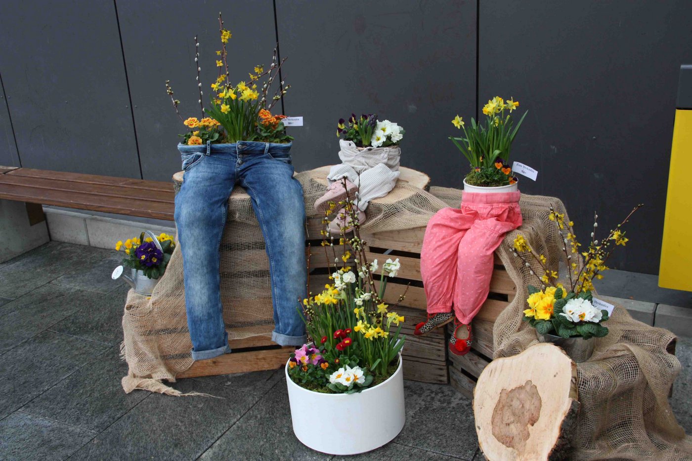 Die Frühlingsboten konnten von den Frauen erworben werden. 