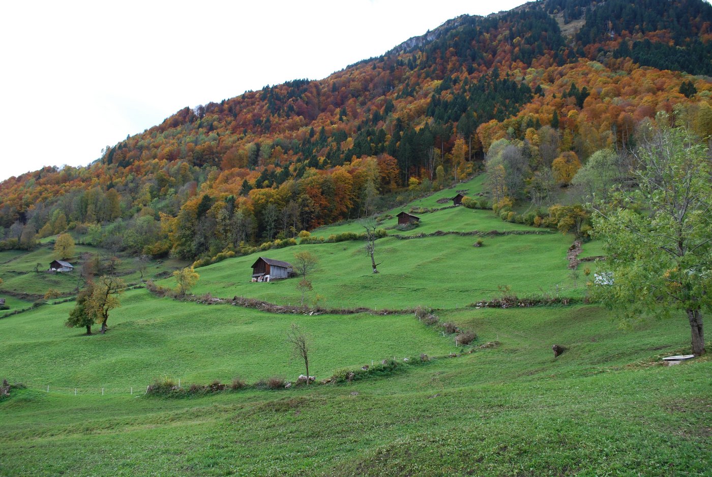 Grünland-Mosaik, ebenfalls im Kanton Glarus. (Bild: Manuela Egeter)