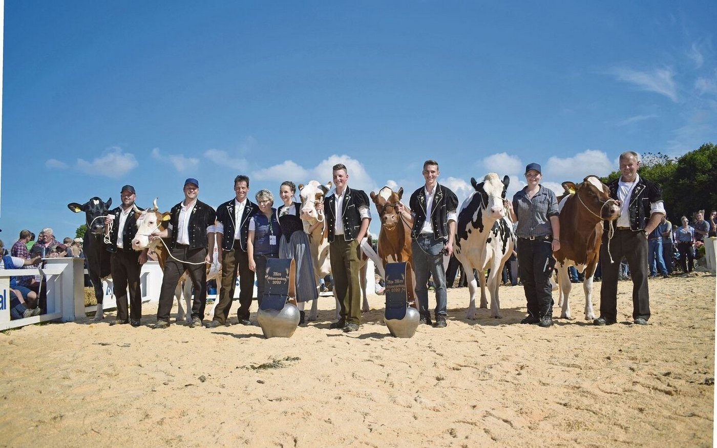 Schöne Kühe und strahlende Züchter: Die Missen und Vize-Missen der Jubiläumsschau in Schwarzenburg BE.