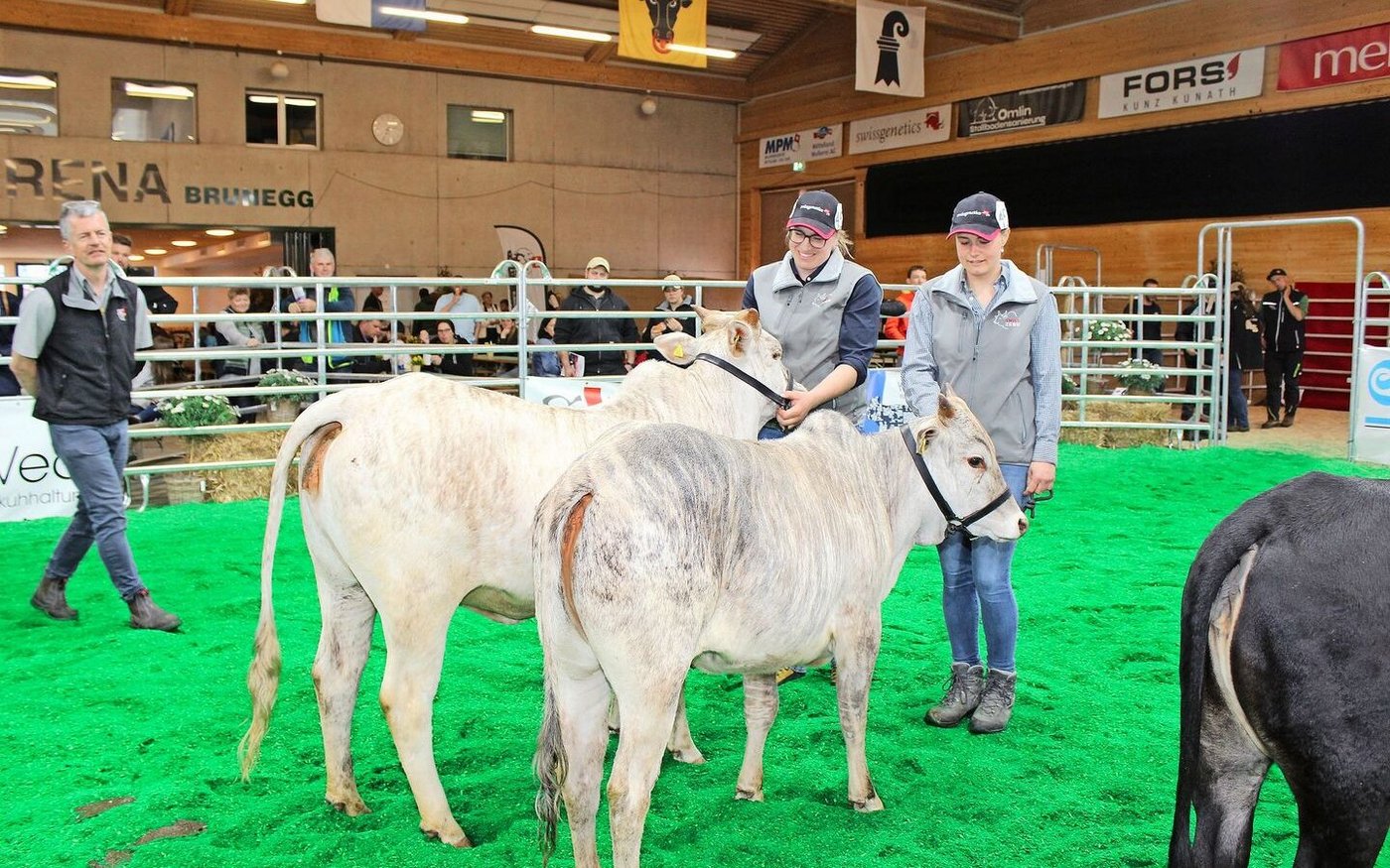 Den Betriebscup bei den Zebus gewann Rebekka Strub Trimbach SO mit Clea und Kadira vom Horn.