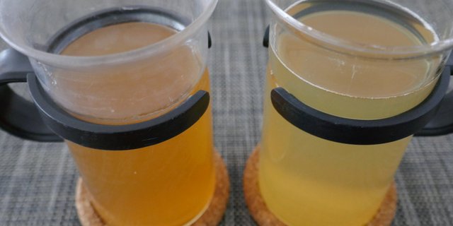 Links wurde der Tee heiss angebrüht, rechts kalt. Der «Cold Brew» - Grüntee ist klarer in der Farbe und schmeckt nicht bitter. (Bilder Neidhart)