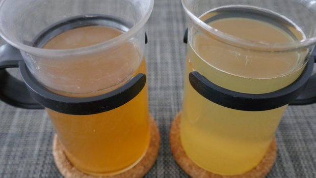 Links wurde der Tee heiss angebrüht, rechts kalt. Der «Cold Brew» - Grüntee ist klarer in der Farbe und schmeckt nicht bitter. (Bilder Neidhart)