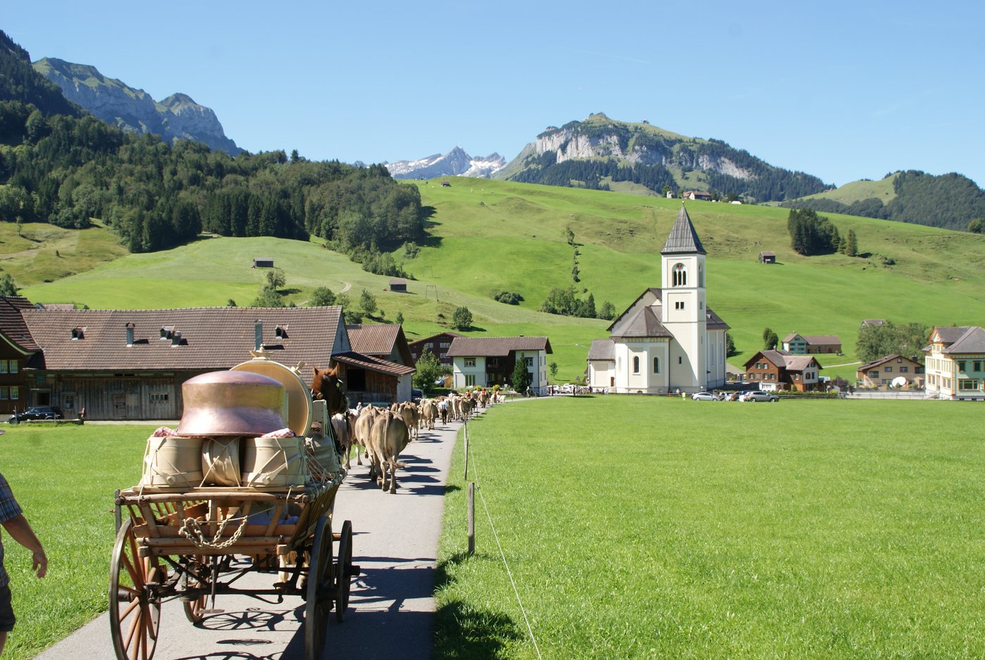 Die Ledi, das Käsegeschirr auf einem Wagen, bildet den Abschluss des Zuges