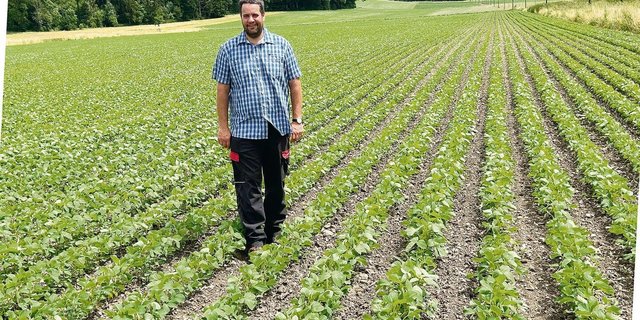 Zu Marco Landis Lieblingskulturen gehört Soja, die schön in Reih und Glied wachsen. Der Reihenabstand beträgt 45 cm.